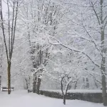 -garden Home- 700m Skilift - Parking - Downhill Διαμέρισμα