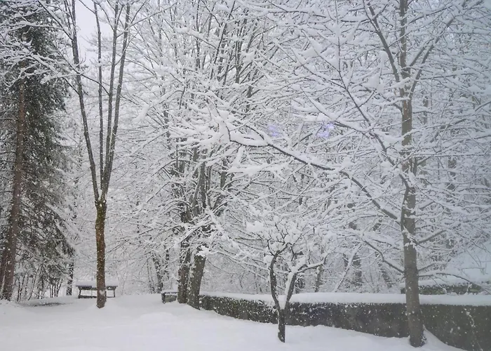 -garden Home- 700m Skilift - Parking - Downhill アパート